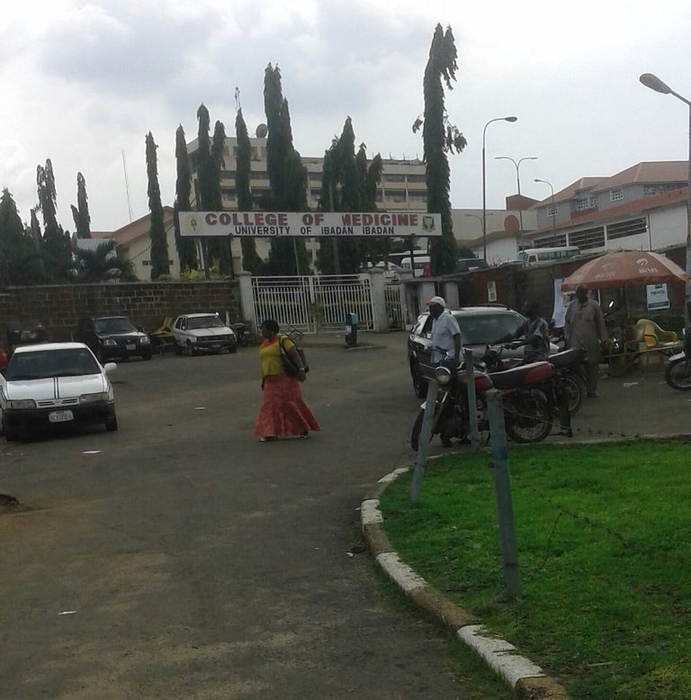 1066px University Of Ibadan College Of Medicine Ibadan 1 768x778