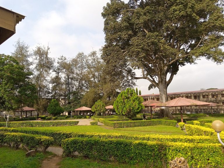 1440px Love Garden University of Ibadan 1 768x576